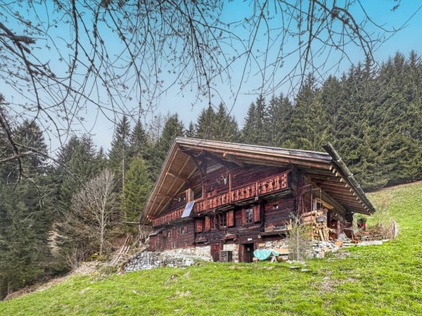 Bien rare - Chalet de 2.5 pièces niché dans 28'000 m² de forêt et de prairie. 17