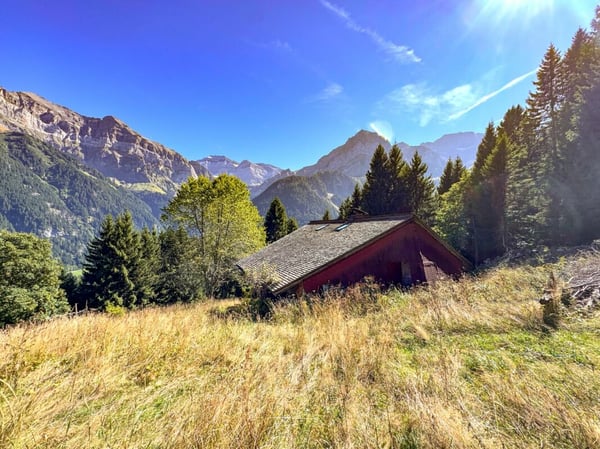 Bien rare - Chalet de 2.5 pièces niché dans 28'000 m² de forêt et de prairie. 16