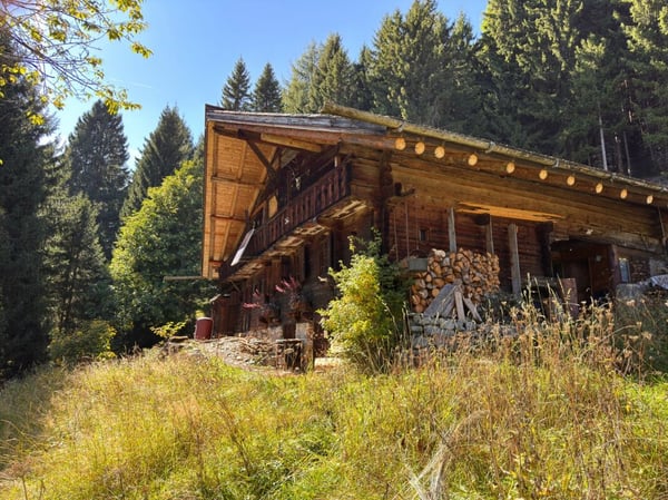 Bien rare - Chalet de 2.5 pièces niché dans 28'000 m² de forêt et de prairie. 13