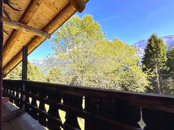 Bien rare - Chalet de 2.5 pièces niché dans 28'000 m² de forêt et de prairie. 1