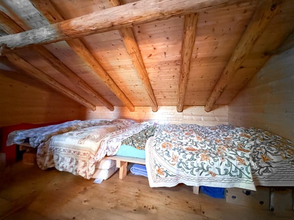 Bien rare - Chalet de 2.5 pièces niché dans 28'000 m² de forêt et de prairie. 7