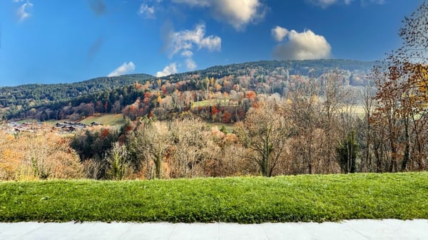 Superbe chalet de 1.5 pièces avec vaste terrain de 3'000 m² (constructible) au coeur de Troistorrents 4