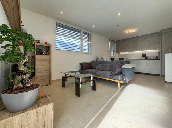 Ensemble de 2 villas, avec piscine ! 36