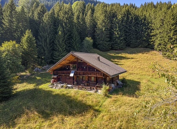 Bien rare - Chalet de 7,5 pièces niché dans 28'000 m² de forêt et de prairie. 1