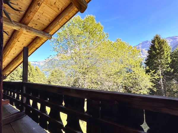 Bien rare - Chalet de 7,5 pièces niché dans 28'000 m² de forêt et de prairie. 6