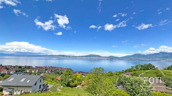 Villa d'architecte avec vue imprenable le Lac Léman 8