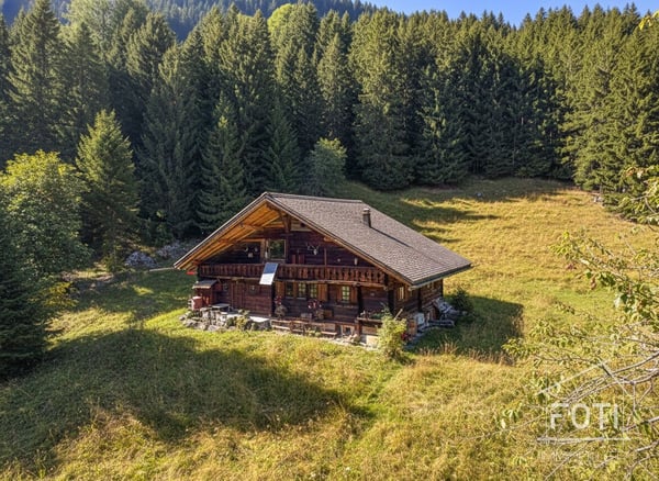 Bien rare - Chalet de 7,5 pièces niché dans 28'000 m² de forêt et de prairie.
