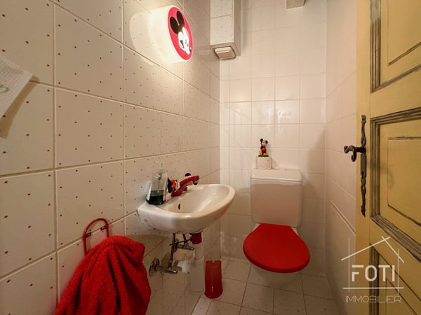 Maison villageoise à Villeneuve - Immeuble de rendement avec 3 appartements 7