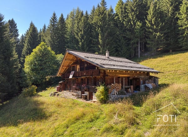 Bien rare - Chalet de 3.5 pièces niché dans 28'000 m² de forêt et de prairie. 7