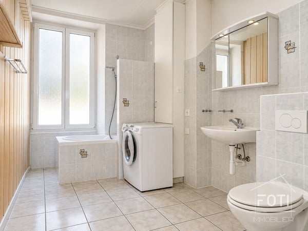 Immeuble de rendement avec 8 lots entièrement loués à 4,77% brut + terrain avec fort potentiel (1 million) 12