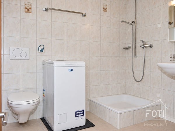 Immeuble de rendement au coeur de St-Maurice avec 11 lots entièrement loués - 5% 9