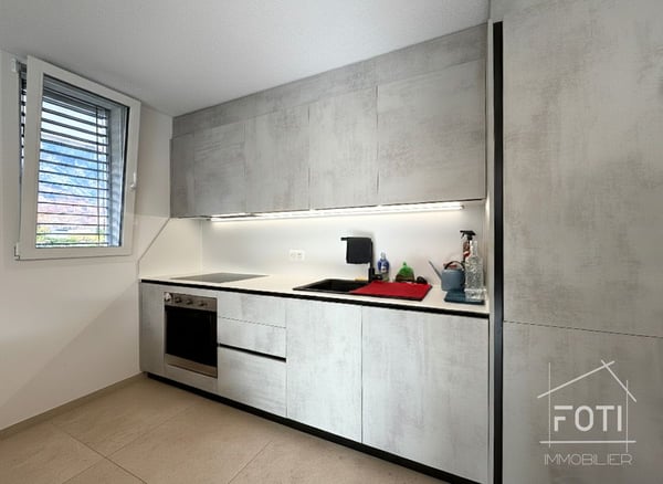 Collombey-Muraz : villa divisée en 2 logements avec piscine et terrasses 9