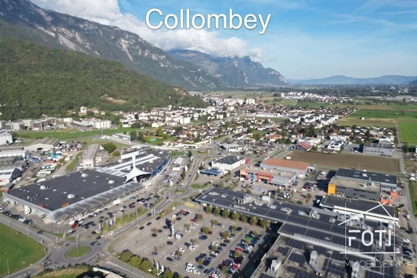 Atelier / entrepôt neuf 100 m² - hauteur 6.5 m - porte 4×4 m - Collombey-Monthey 12
