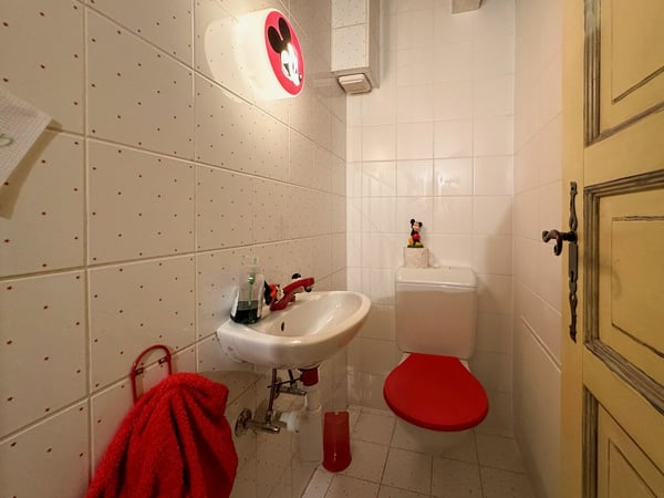 Maison villageoise à Villeneuve - Immeuble de rendement avec 3 appartements 8