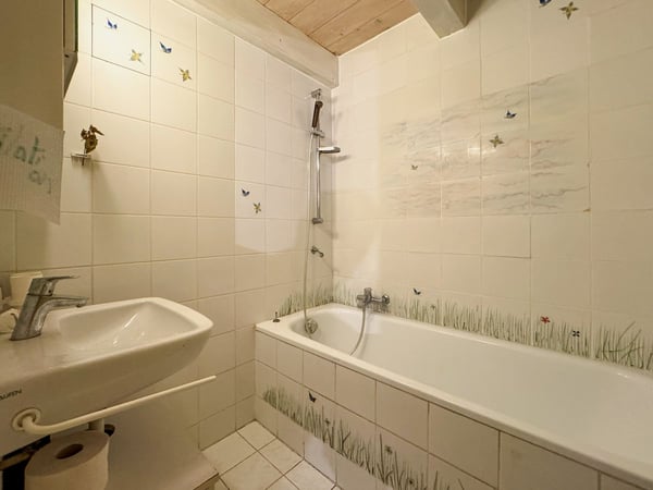 Charmant immeuble de 3 appartements à Villeneuve en pleine nature 7