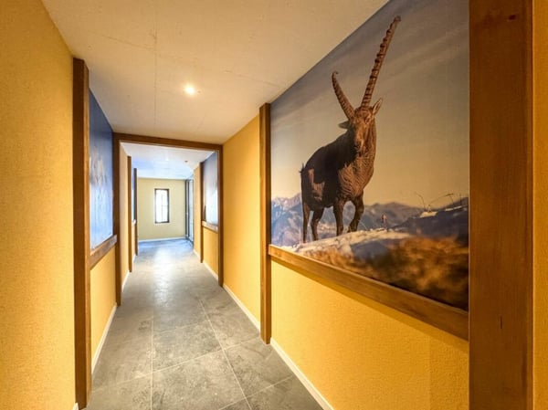 Appartement 2.5 pièces à Saxon 14