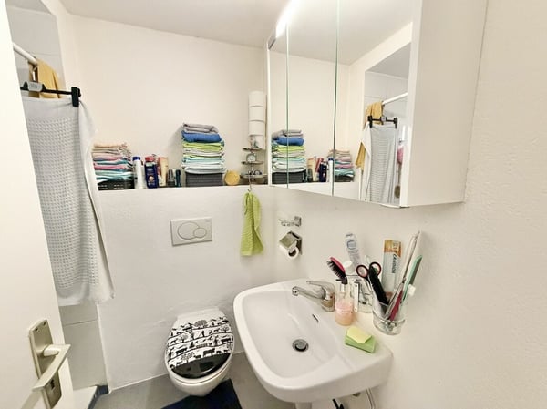 Maison avec 3 appartements au centre d'Ardon 13