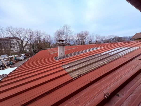 Propriété Multifonctionnelle avec Local Commercial, ENTREPOT, Garages et Partie Habitable   Proche Divonne-les 3