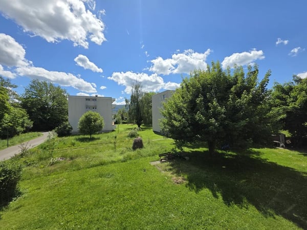 Sanierte 3.5 Zimmerwohnung in ruhigem Quartier 6