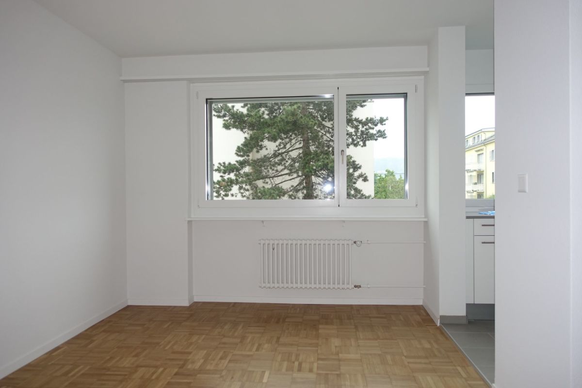 Moderne 4.5-Zimmerwohnung in Reinach