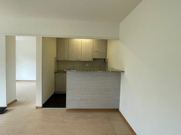 2-Zimmerwohnung in Birsfelden 5