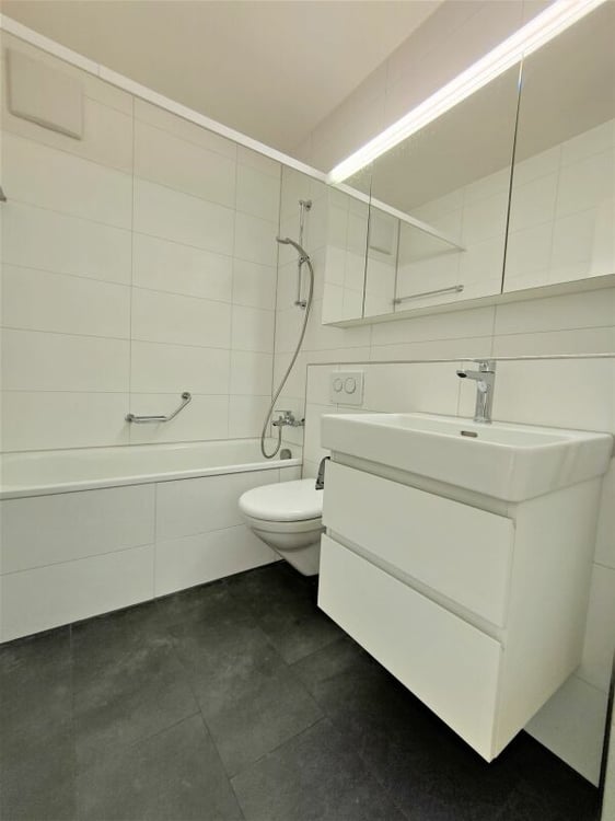 3.0-Zimmerwohnung in Birsfelden 4