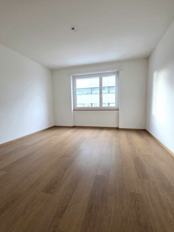 3-Zimmerwohnung in Pratteln