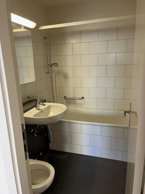 Charmante 1-Zimmer-Wohnung mit Balkon in Winterthur 6