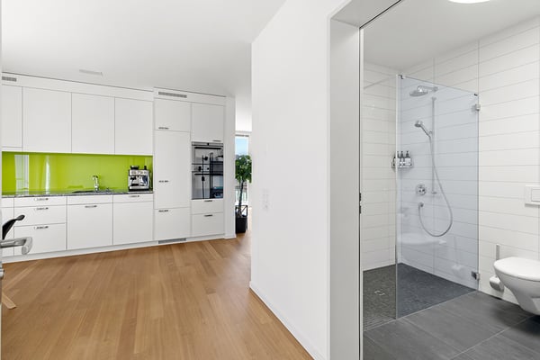 Topmoderne 2.5-Attikawohnung mit Panoramaterrasse und Weitsicht in zen 5