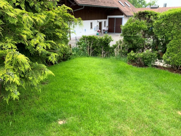 Charmantes 7.5-Zimmer-Bauernhaus 6