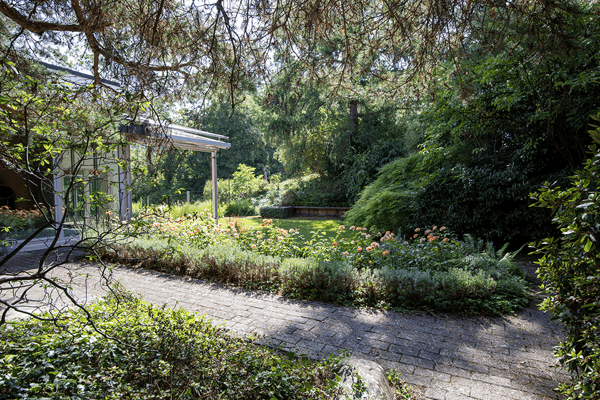 RESERVIERT: Grosszügiges Einfamilienhaus mit viel Raum, viel Natur, vi 7