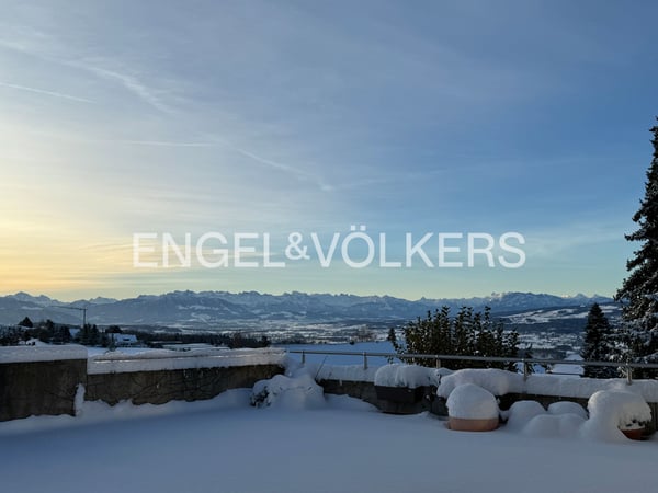 Alpenblick inklusive - grosszügiges Terrassenhaus mit vielseitigem Rau 10