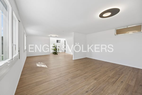 Alpenblick inklusive - grosszügiges Terrassenhaus mit vielseitigem Rau 8