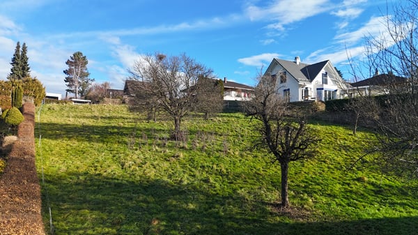 2'972 m² grosses Bauland mit Bauernhaus 2