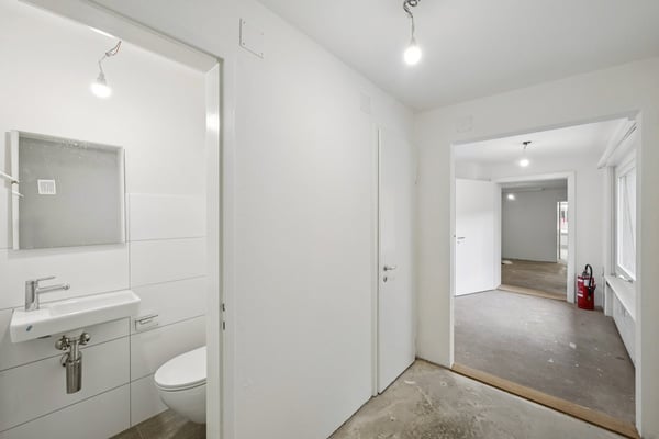 RENOVIERTE FLÄCHE MIT HOFGEBÄUDE 9