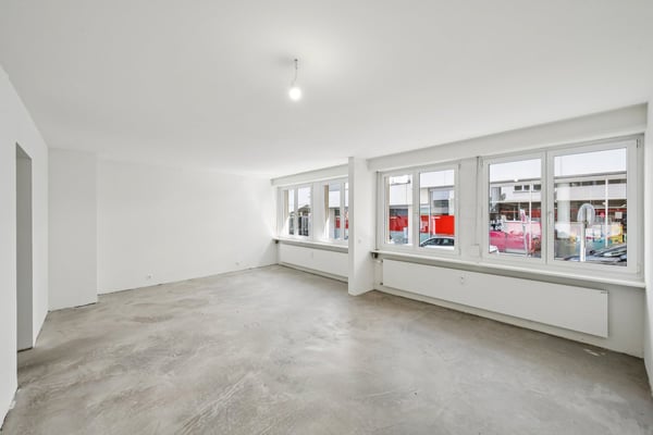 RENOVIERTE FLÄCHE MIT HOFGEBÄUDE 6