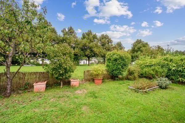 Grüne Idylle auf dem Bruderholz 10