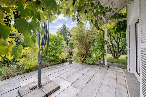 Grüne Idylle auf dem Bruderholz 5