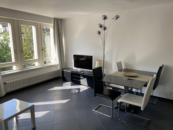 Möblierte 1.5 Ferienwohnung mit Klima im Zentrum von Ascona 3