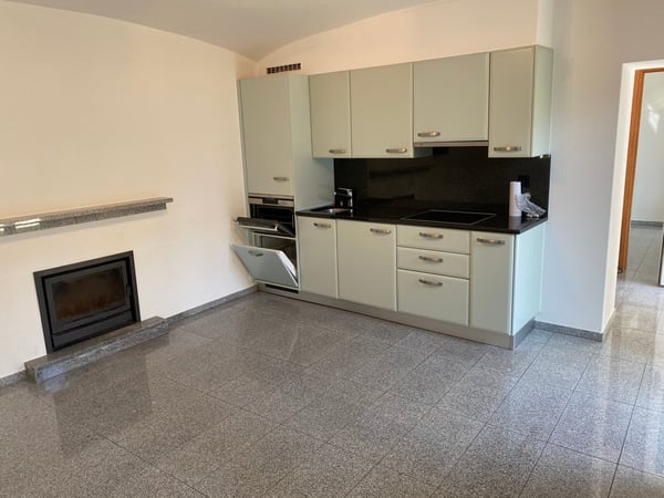 Stupendo 2.5 con giardino privato 3