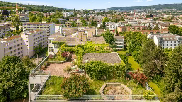 Attika über den Dächern Zürichs mit Panorama-Dachterrasse 7