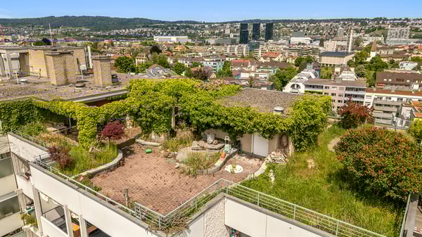 Attika über den Dächern Zürichs mit Panorama-Dachterrasse 6