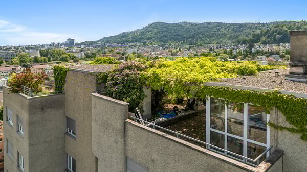 Attika über den Dächern Zürichs mit Panorama-Dachterrasse 8