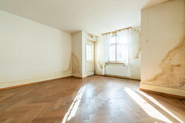 Doppelhaus mit Entwicklungspotenzial 5