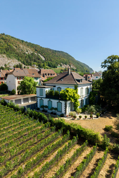 Coming Soon - Villa im Park in Seenähe 2