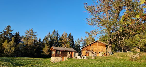 Chalet d'alpage dans le parc naturel de la vallée de Binn 1