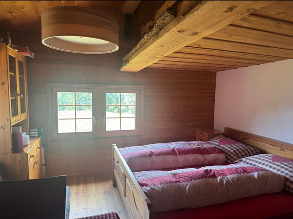 Chalet d'alpage dans le parc naturel de la vallée de Binn 5