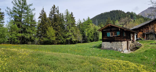 Chalet d'alpage dans le parc naturel de la vallée de Binn 2