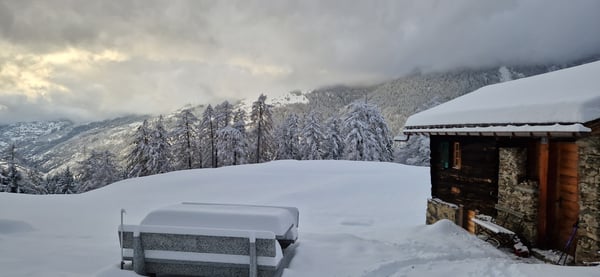 Chalet d'alpage dans le parc naturel de la vallée de Binn 3