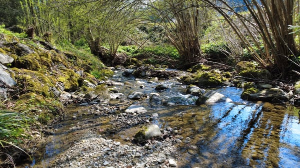 Rarität 3'325 m² Grundstück im Steuerparadies 2